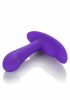 Anal Toys | Silicone Remote Pinpoint Pleaser Anal Toys Anal Toys