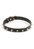 Fetish & Bondage | Fetish And Fashion Medusa Collar Fetish & Bondage Fetish & Bondage