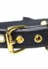 Fetish & Bondage | Golden Kitty Cat Bell Collar Fetish & Bondage Fetish & Bondage