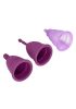 Sensual Products | Health And Wellness Reusable Menstrual Cup Set Sensual Products Purple