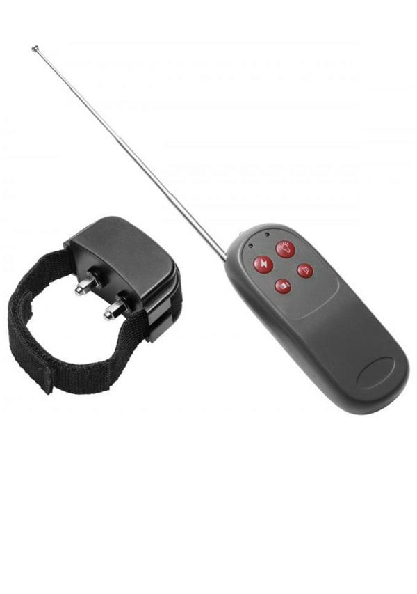 Fetish & Bondage | Cock Shock Remote Control Cbt Electric Cock Ring Fetish & Bondage Fetish & Bondage